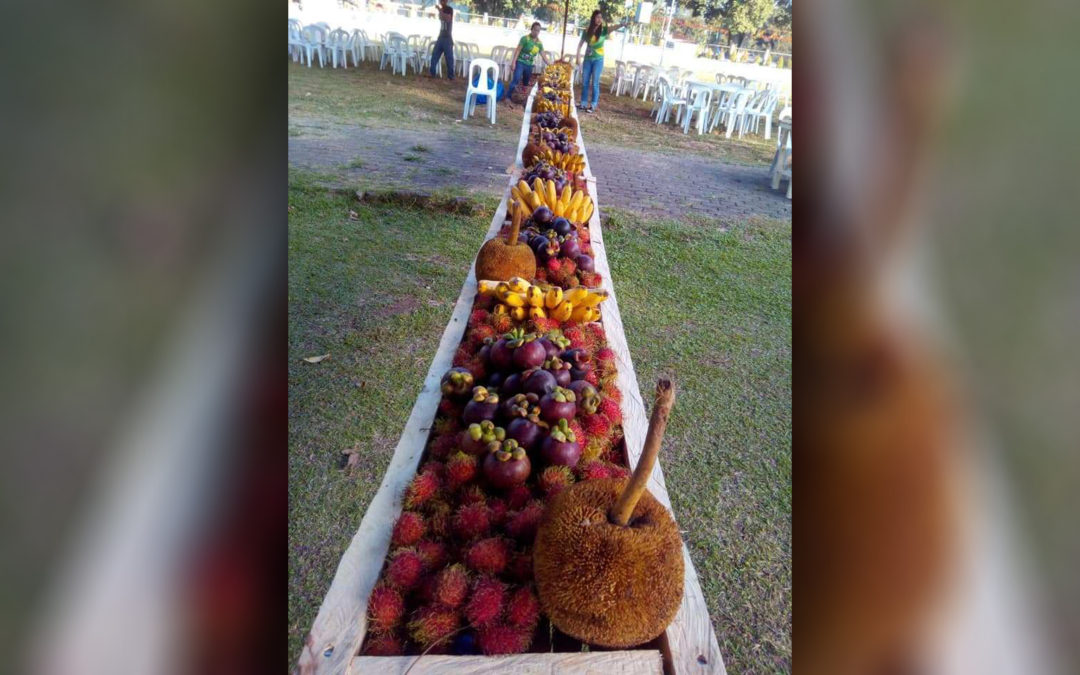 ‘All the fruits you can eat’ highlights Kidapawan City festival