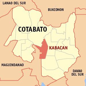 Cotabato village chief killed in ambush