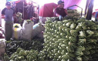 Covid-19 scare takes toll on Benguet veggie traders