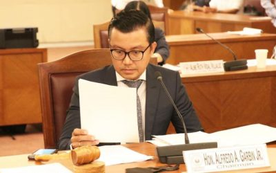 Lawmaker proposes charter leeway for foreign investors