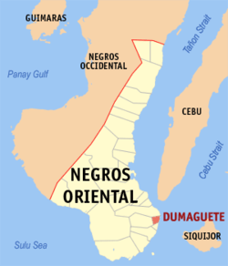 Dumaguete City ‘area of most serious concern’ due to high Covid-19 cases- OCTA