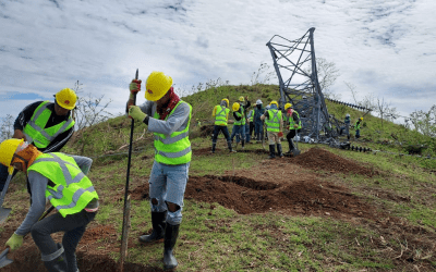 Bohol’s electricity to be partially restored on Feb. 15 – NGCP