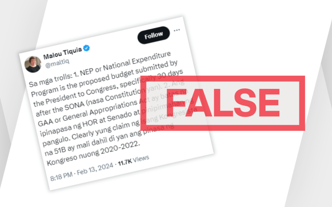 FACT-CHECK: Political strategist makes false claim that P51-B allocation was not in the annual budgets for 2020 to 2022